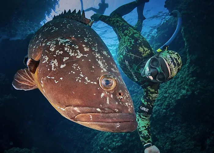 Ancla Casa vacanze L' Escala